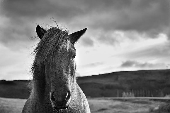 2016-10-09-iceland-AJB-047-Edit-19-fineart